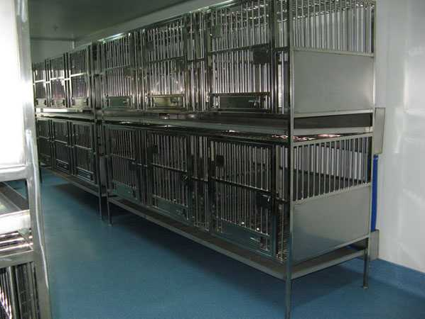 動物醫(yī)用生物藥品的基本安全治理