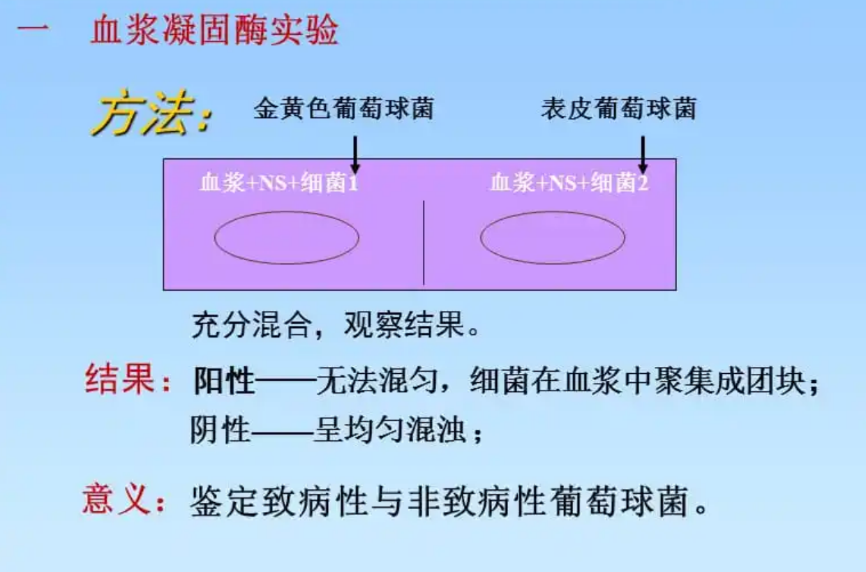 血液凝結酶試驗