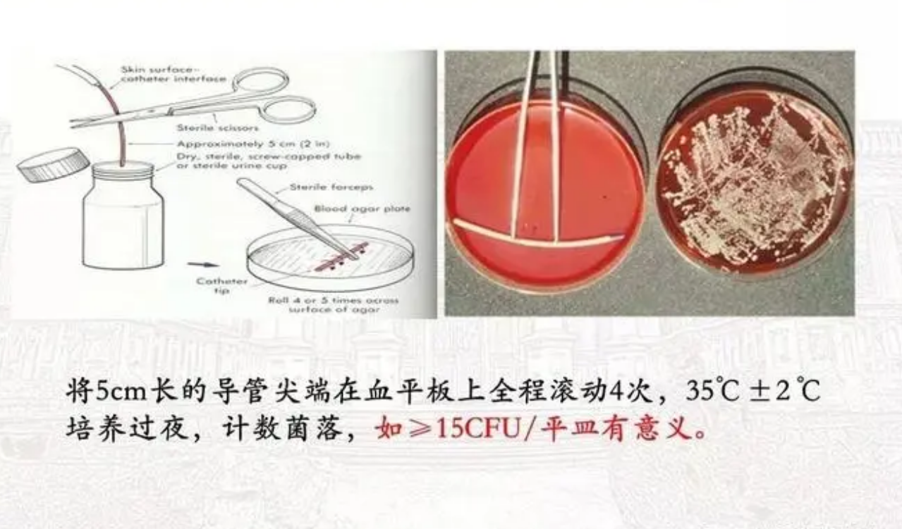 血液凝結酶試驗